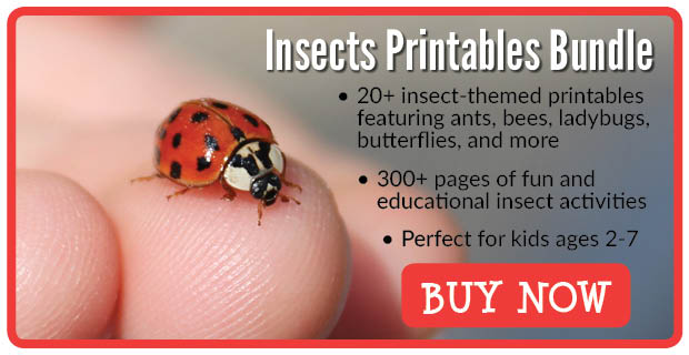 Insects Printables Bundle from Gift of Curiosity