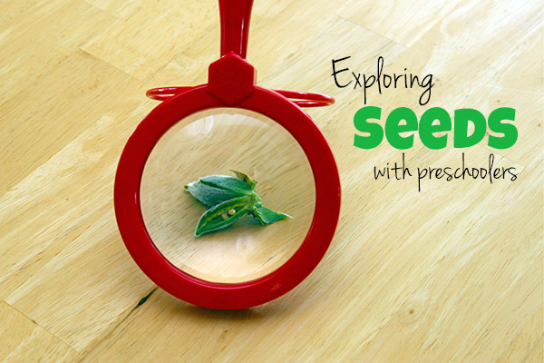 Exploring seeds from nature with preschoolers