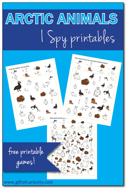 FREE printable Arctic Animals I Spy games. Great for helping young children learn the names of common Arctic animals. || Gift of Curiosity