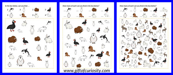 FREE printable Arctic Animals I Spy games. Great for helping young children learn the names of common Arctic animals. || Gift of Curiosity