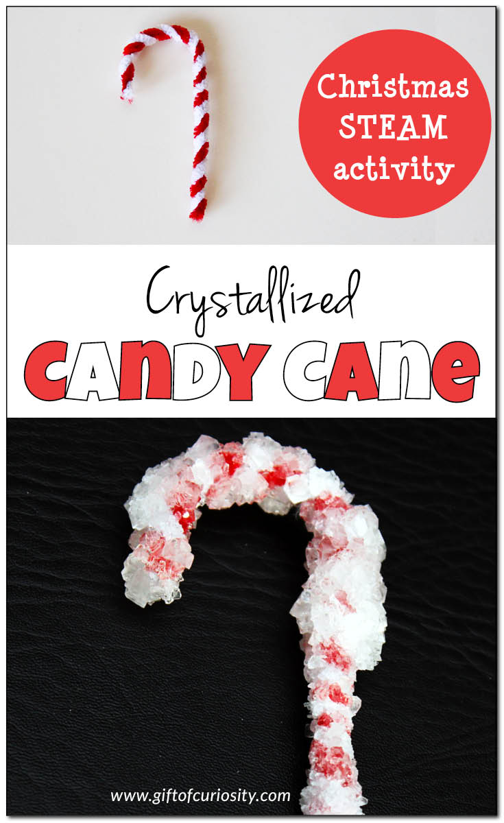 Beautiful crystallized candy canes make a great Christmas STEAM (science, technology, engineering, art, math) activity your kids will love!