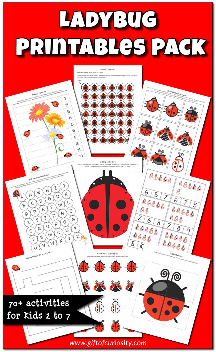 Ladybug Printables Pack | More than 70 ladybug activities for kids ages 2-7 | Ladybug printables | Insect unit | Preschool | Kindergarten | Toddlers || Gift of Curiosity