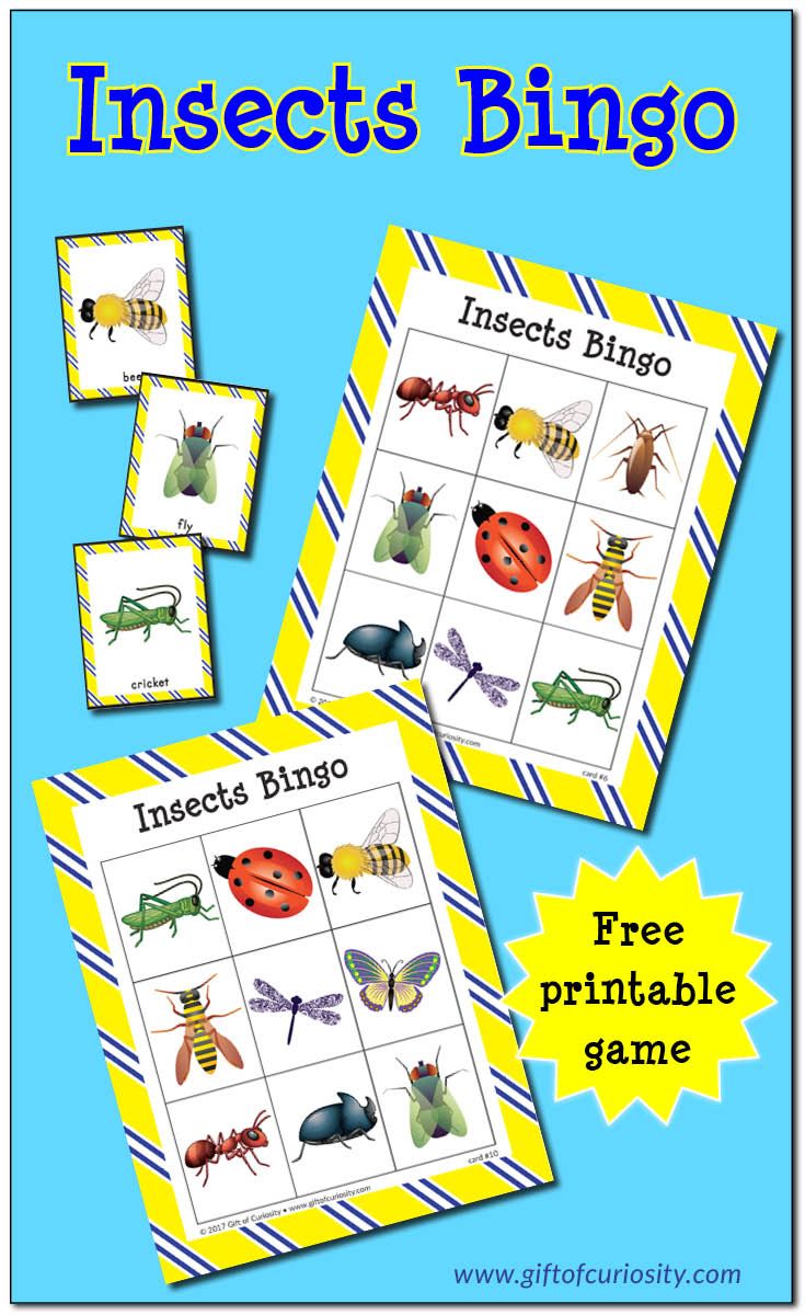 Free printable Insects Bingo game | Learn to identify 10 different insects | free insect printables || Gift of Curiosity