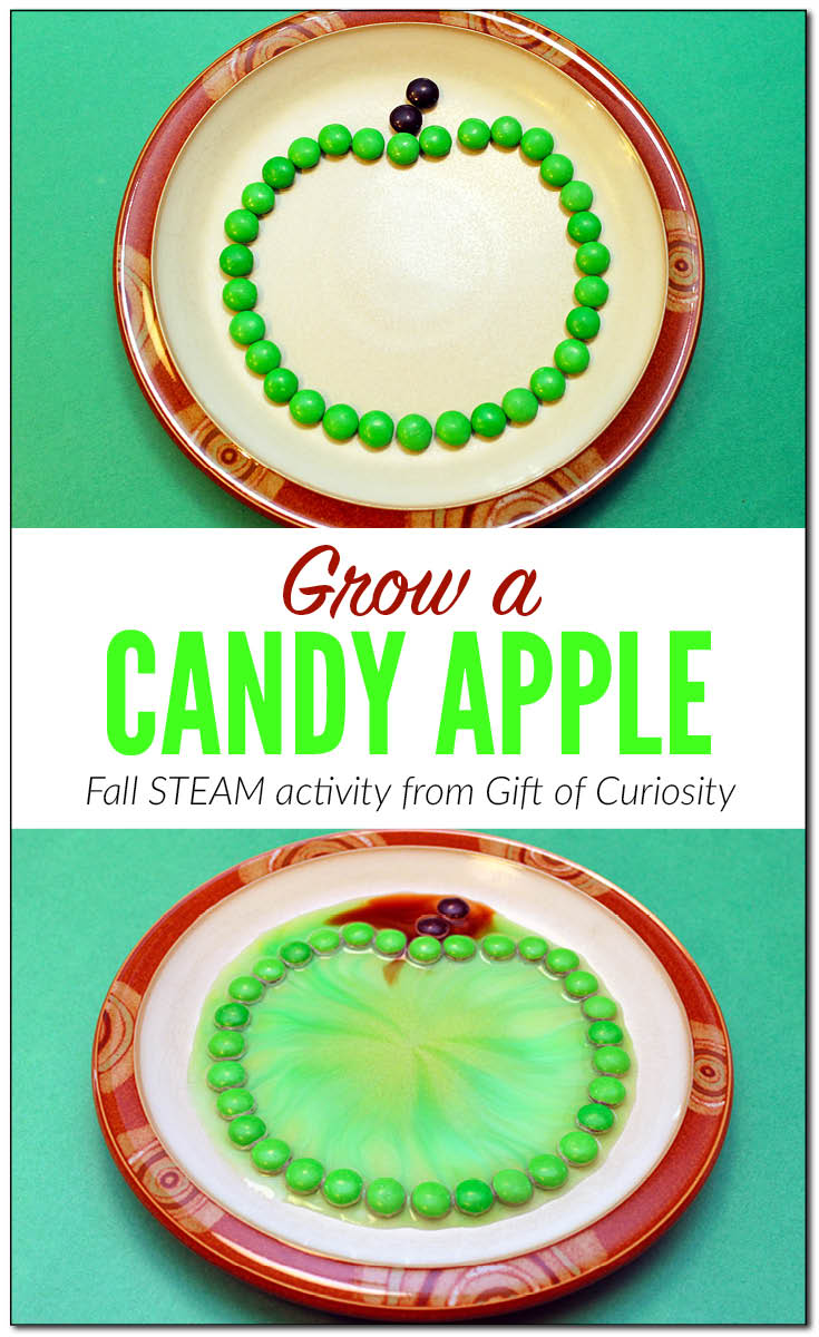 Grow a candy apple fall STEAM activity | Apple science activities | M&M science activities || Gift of Curiosity