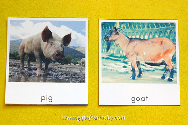 Farm Animal Montessori 3-Part Cards (2 different versions!) - Gift of  Curiosity
