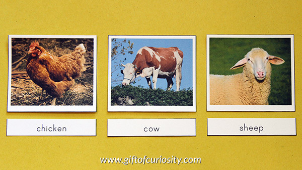 Farm Animal 3-Part Cards with a basic option for common farm animal names and a families option to learn names for the mother, father, and baby in each farm animal family. These Montessori farm animal cards are versatile and can be used in so many ways for a farm unit or for inspiring a love of animals. || Gift of Curiosity