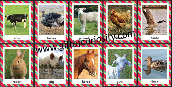 Farm Animals Bingo Game | free printable farm activity for preschoolers | free printable farm activity for kindergarten | Farm Bingo || Gift of Curiosity