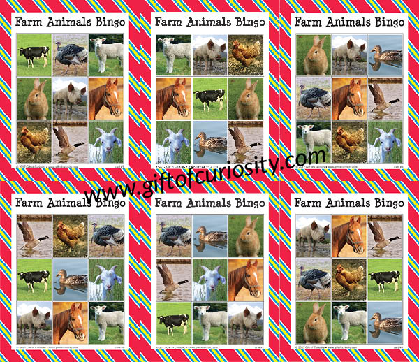 Farm Animals Bingo Game | free printable farm activity for preschoolers | free printable farm activity for kindergarten | Farm Bingo || Gift of Curiosity