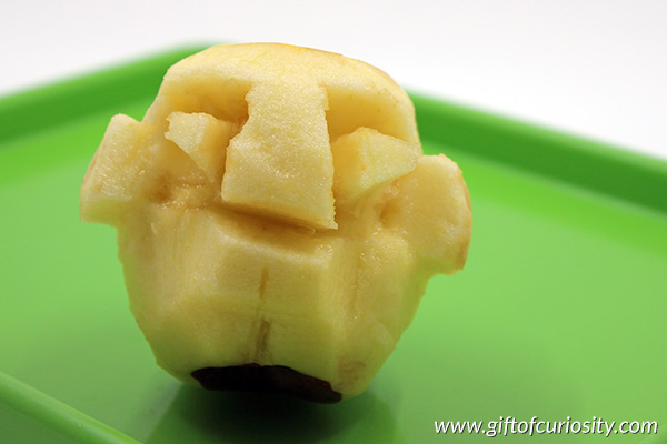 Make shrunken apple heads to celebrate apple season or as a Halloween craft. Easy to do and fun for all ages! || Gift of Curiosity