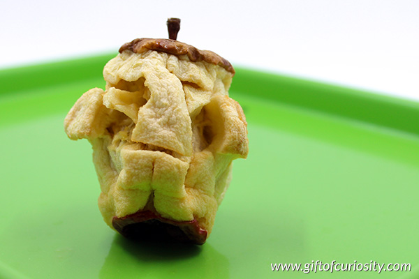 Make shrunken apple heads to celebrate apple season or as a Halloween craft. Easy to do and fun for all ages! || Gift of Curiosity