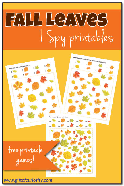 FREE printable Fall Leaves I Spy game || Gift of Curiosity