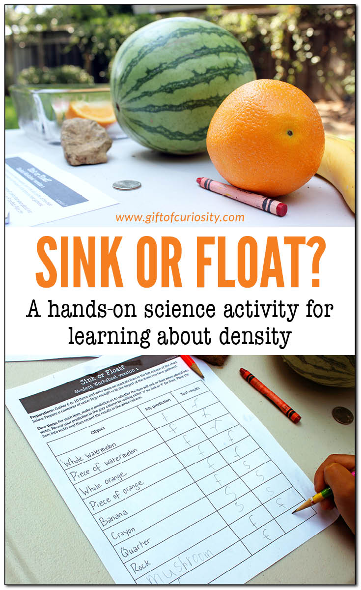 Does it sink or float? A hands-on science activity for learning about density #STEM #STEAM || Gift of Curiosity