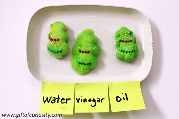 Christmas peeps science experiment to learn how peeps dissolve in different liquids. Great ideas for extending the learning in different ways to promote scientific thinking. || Gift of Curiosity