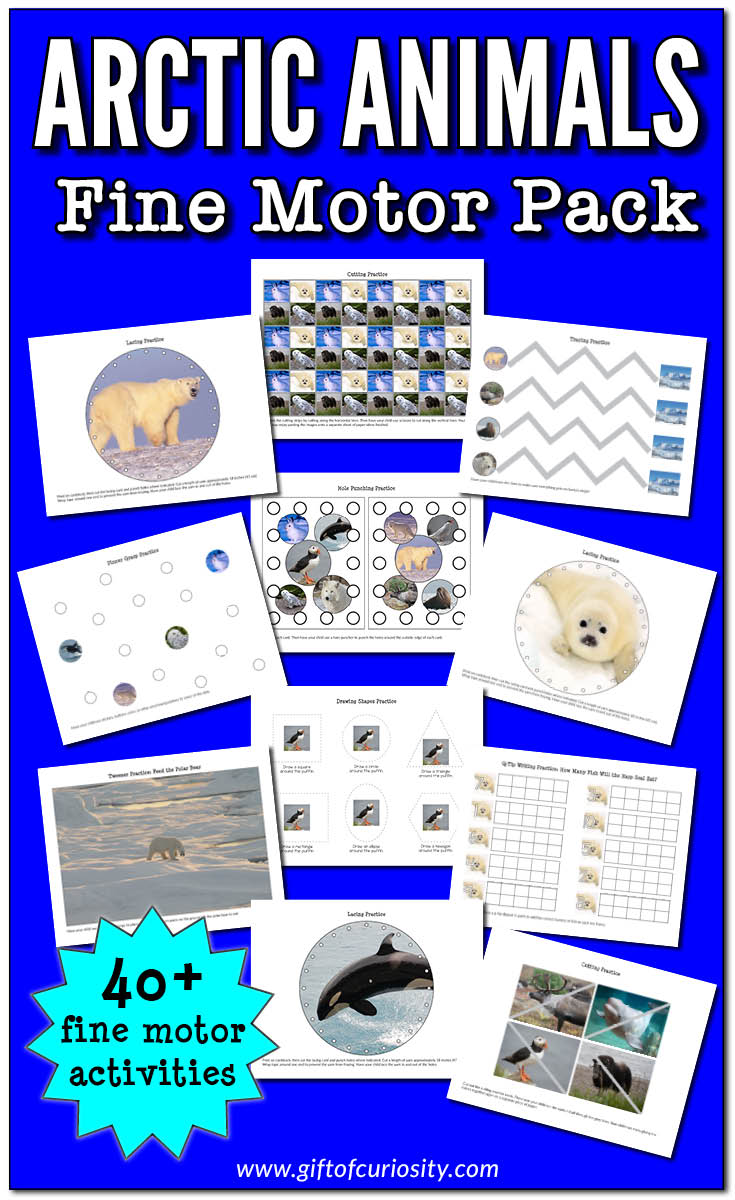 Arctic Animals Fine Motor Pack | More than 40 pages of Arctic-themed fine motor activities to help children develop nine different fine motor skills including pincer grasp, lacing, tracing, tweezing, drawing, hole punching, pin punching, and cutting. Perfect for an Arctic Unit Study. #Arctic #finemotor || Gift of Curiosity