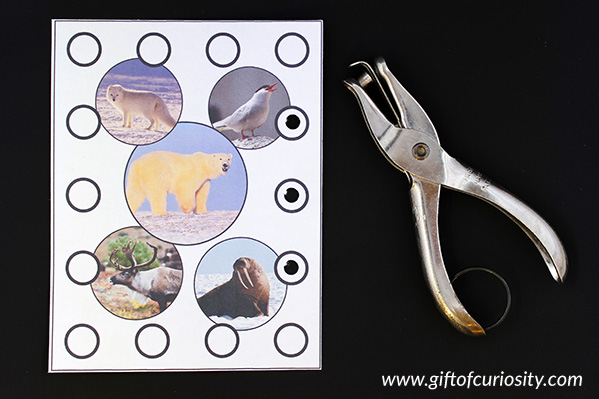 Arctic Animals Fine Motor Pack Hole Punching activity || Gift of Curiosity