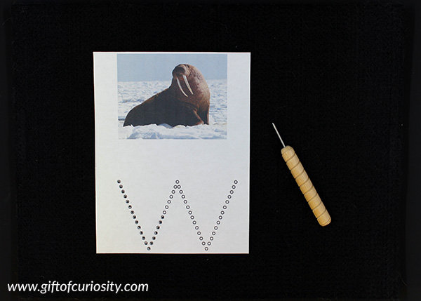Arctic Animals Fine Motor Pack Pin Punching activity || Gift of Curiosity