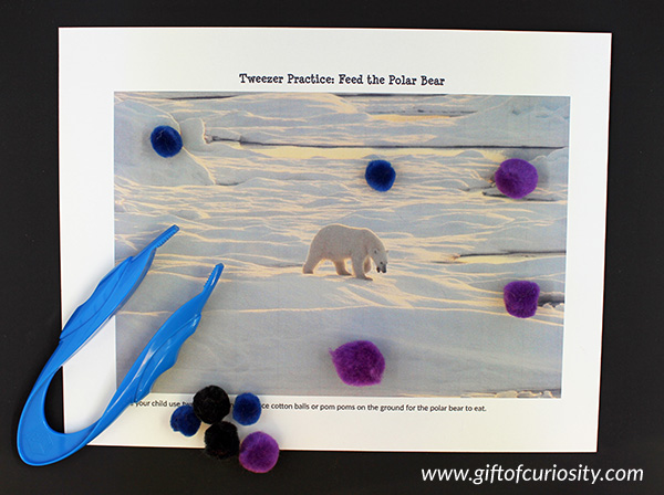 Arctic Animals Fine Motor Pack Tweezer Practice activity || Gift of Curiosity