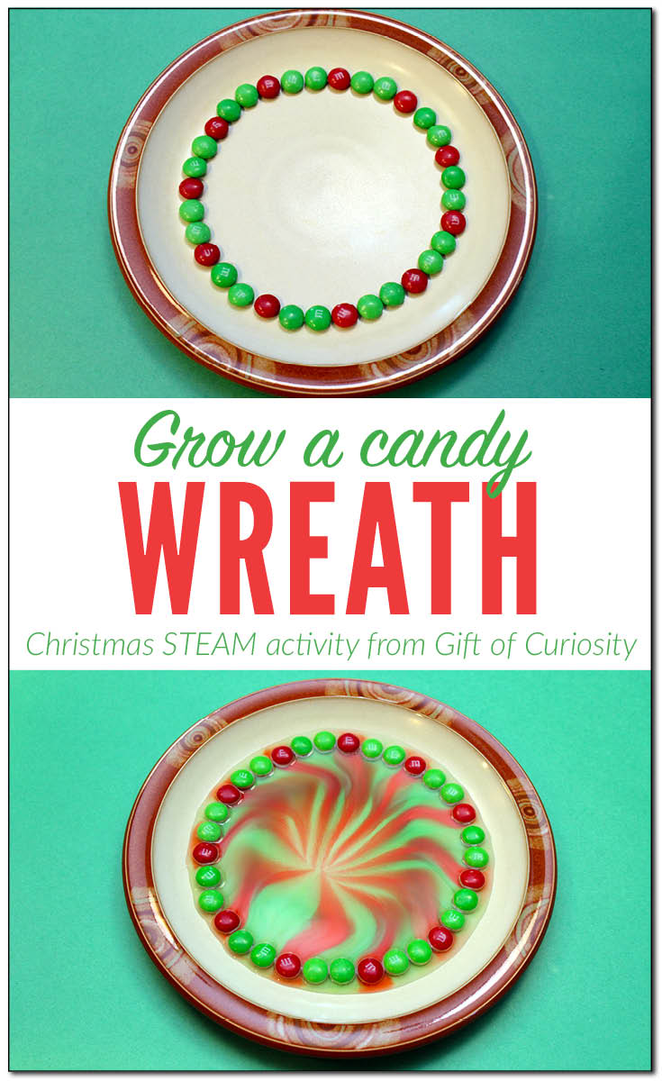 Grow a candy Christmas wreath this December with this Christmas STEAM that will wow not just the kids but the grownups too! This activity combines art, dissolving science, and fine motor skills into one exciting experience kids will love. || Gift of Curiosity