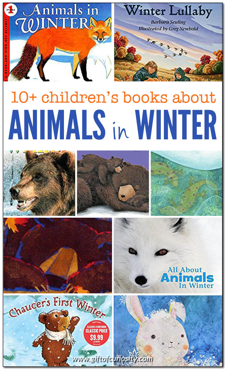 10+ children's books about animals in winter || Gift of Curiosity