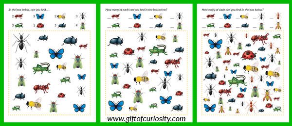 Insects I Spy Printables with realistic looking images of insects and three levels of difficulty | #Insects #ISpy || Gift of Curiosity