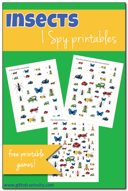 FREE Insects I Spy Printables with realistic looking images of insects and three levels of difficulty | #Insects #ISpy #freeprintables || Gift of Curiosity