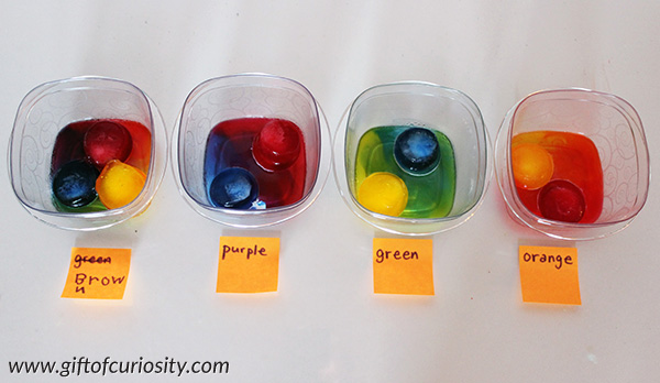 Color mixing activity using colored ice cubes to show children how the three primary colors of magenta (red), cyan (blue), and yellow mix to make the three secondary colors of orange, green, and purple. Great hands-on science for kids! Perfect for preschool or kindergarten lessons on colors and color mixing. #preschool #kindergarten #colors #colormixing #ece #handsonscience || Gift of Curiosity