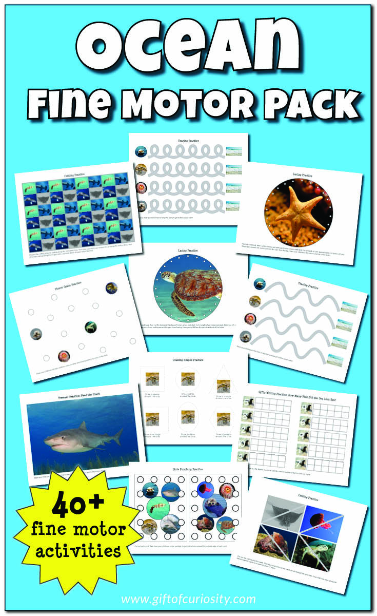 Ocean Fine Motor Skills Pack with 40+ different activities to work on a variety of fine motor skills including pincer grasp, lacing, tweezing, cutting, pin punching, hole punching, and more! #finemotorskills #finemotor #ocean #ece || Gift of Curiosity
