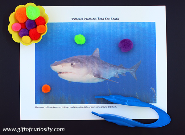 Ocean Fine Motor Skills Pack with 40+ different activities to work on a variety of fine motor skills including pincer grasp, lacing, tweezing, cutting, pin punching, hole punching, and more! #finemotorskills #finemotor #ocean #ece || Gift of Curiosity