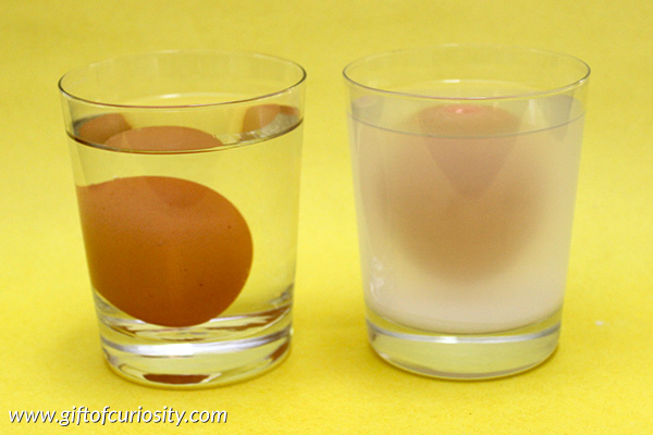 The floating egg: A hands-on science activity for learning about density. This activity is part of the Density STEM Pack. || Gift of Curiosity