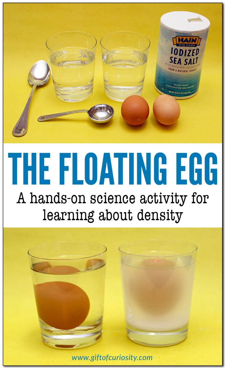 The floating egg: A hands-on science activity for learning about density. Children will learn that an egg sinks in fresh water but floats in salt water. This activity is part of the Density STEM Pack. || Gift of Curiosity