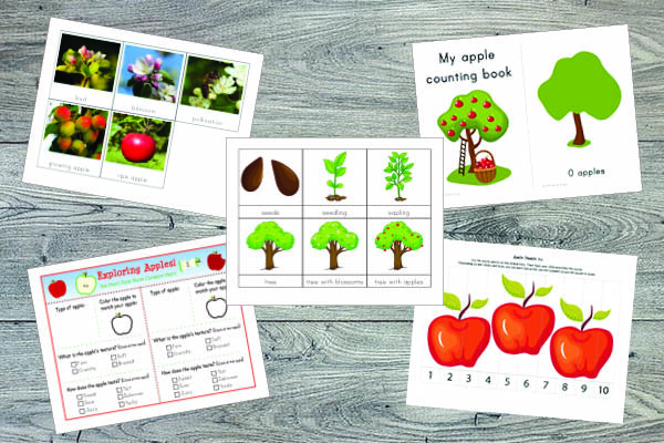 Apple Unit Study bundle: More than 40 apple activities and 325+ printable pages covering sensory, fine motor, art, science, math, and language. Perfect for an apple unit for children in preschool through second grade. #apples #unitstudy #preschool #kindergarten || Gift of Curiosity