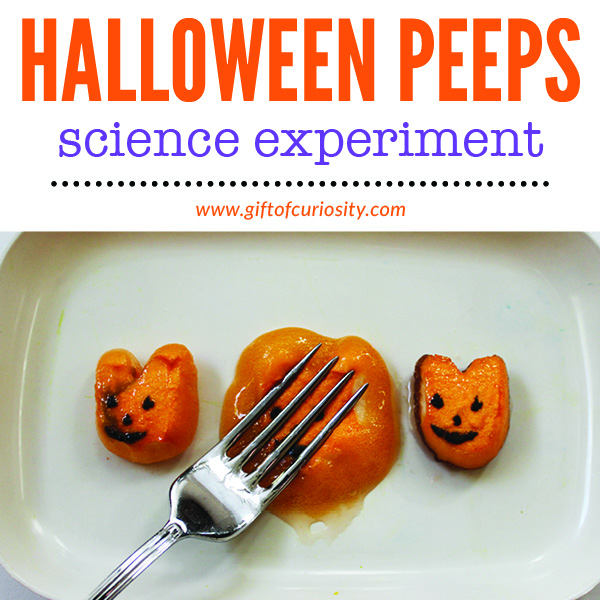 Halloween Peeps science experiment | Halloween science activity for kids | Halloween science experiment #Halloween #scienceforkids #STEM #STEAM || Gift of Curiosity