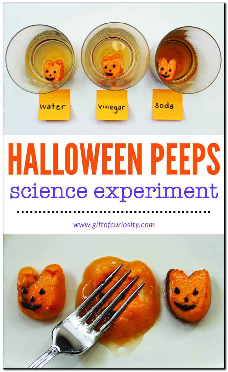 Halloween Peeps science experiment | Halloween science activity for kids | Halloween science experiment #Halloween #scienceforkids #STEM #STEAM || Gift of Curiosity