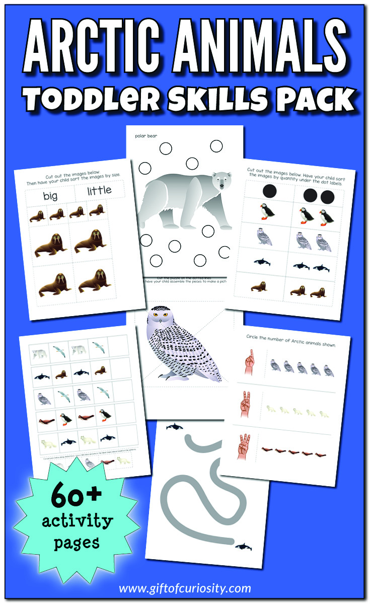 Arctic Animals Toddler Skills Pack with 60+ print-and-play activity pages for children ages 1-3. Pack includes do-a-dot pages, coloring pages, size sorting, color sorting, find the shapes, puzzles, fine motor, patterns, and basic math concepts. #Arctic #Polar #toddlers || Gift of Curiosity