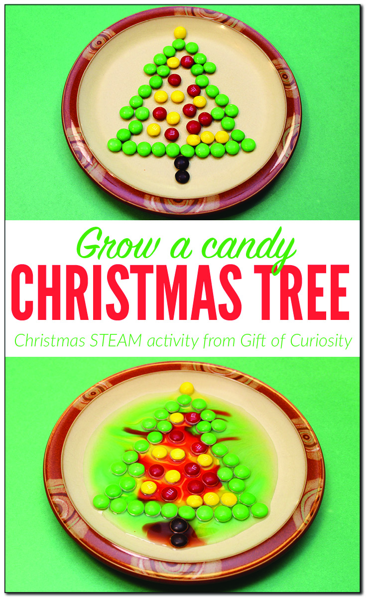 Grow a candy Christmas tree | Christmas STEAM activity for kids || Gift of Curiosity