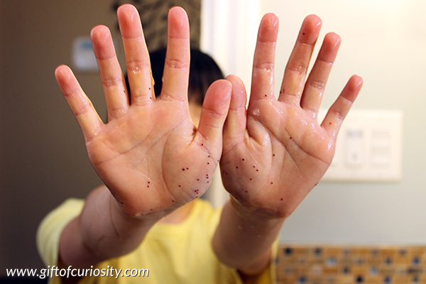 While we can't typically see germs without a microscope, this hands-on activity helps kids visualize germs on their hands and see how they can easily spread from person to person or from a person to an object. This activity also helps kids see the importance of washing hands with soap and water (rather than water alone). #handsonlearning #humanbody #science #STEM #STEAM #kindergarten #giftofcuriosity || Gift of Curiosity