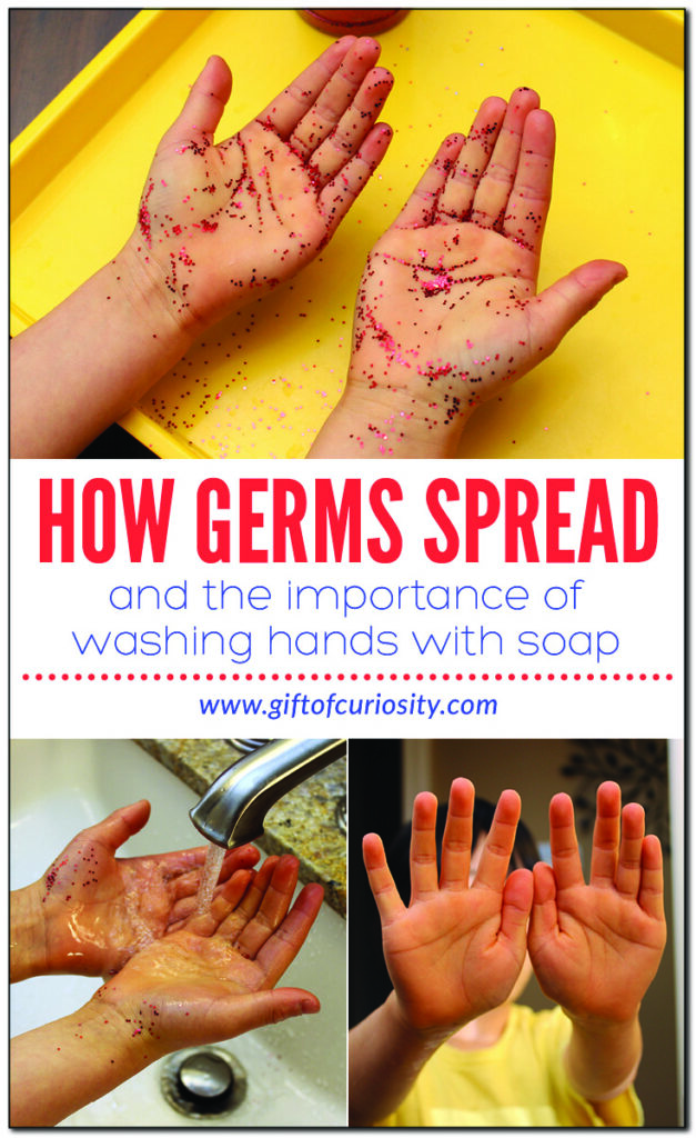 While we can't typically see germs without a microscope, this hands-on activity helps kids visualize germs on their hands and see how they can easily spread from person to person or from a person to an object. This activity also helps kids see the importance of washing hands with soap and water (rather than water alone). #handsonlearning #humanbody #science #STEM #STEAM #kindergarten #giftofcuriosity || Gift of Curiosity