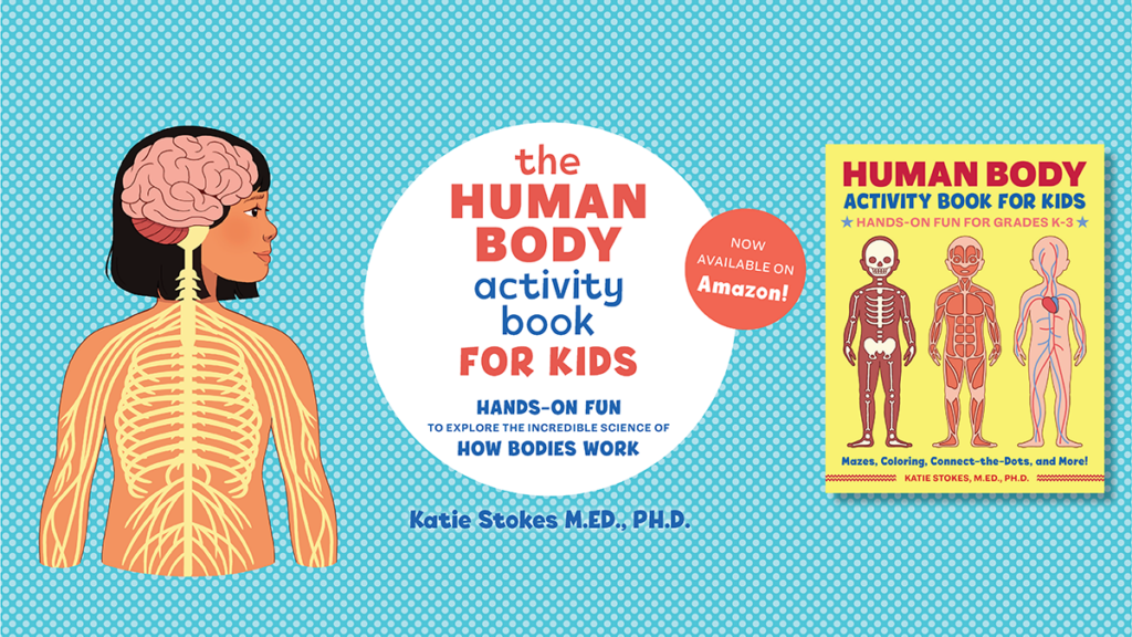 The Human Body Activity Book for Kids features hands-on fun for kids in grades K-3. #giftofcuriosity #handsonlearning #humanbody