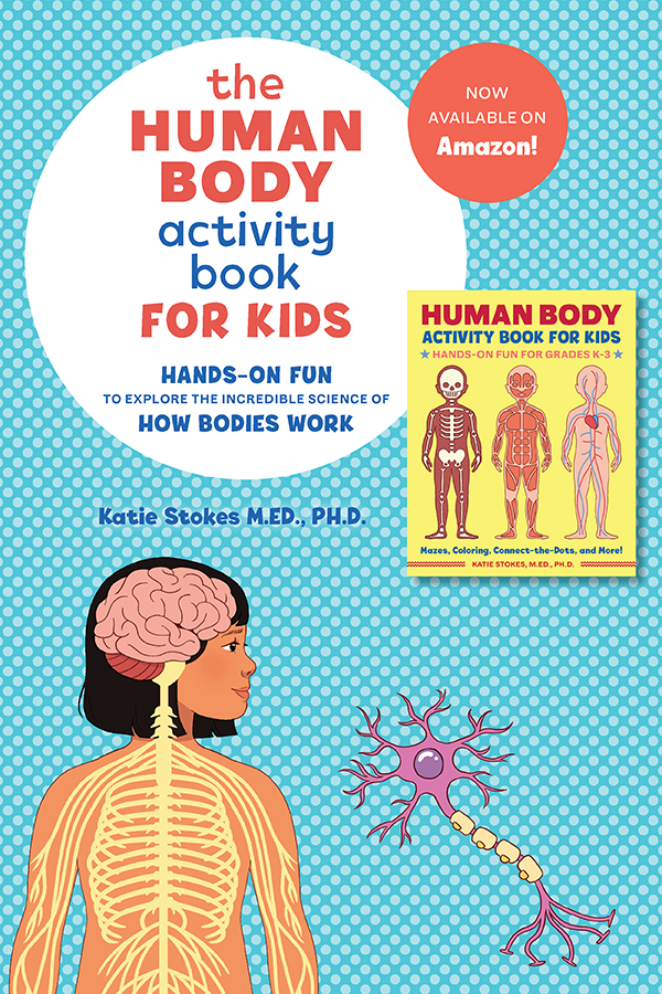 The Human Body Activity Book for Kids: Hands-On Fun for Grades K-3 includes the complete guide to anatomy for kids, over 30 exciting activities to keep lessons engaging, and tons of fun facts that will leave kids wanting more. #humanbody #giftofcuriosity #handsonlearning #STEM #STEAM #science || Gift of Curiosity