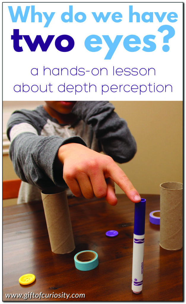 Why do we have two eyes? This hands-on science lesson about the human body helps children understand that we need two eyes to have proper depth perception. | #humanbody #science #STEM #STEAM #handsonlearning #giftofcuriosity || Gift of Curiosity