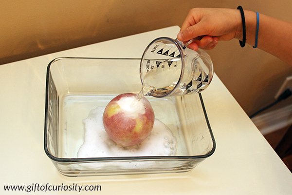 Apple Volcano kitchen science activity for kids - make your own exploding apple volcano to discuss chemical reactions with your kids! | #STEM #STEAM #apples #science #handsonlearning #preschool #kindergarten #giftofcuriosity || Gift of Curiosity