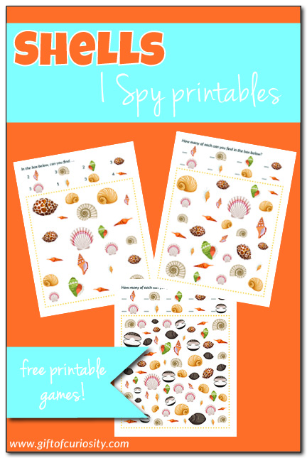 FREE printable Shells I Spy game with three levels of difficulty | #freeprintable #ocean #shells #giftofcuriosity || Gift of Curiosity