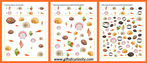 FREE Shells I Spy printables with three levels of difficulty | #freeprintable #ocean #shells #giftofcuriosity || Gift of Curiosity