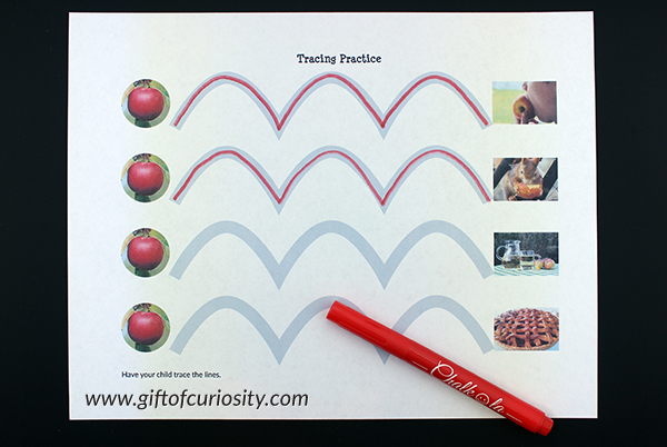 Apple Fine Motor Pack with 40+ fine motor activities: pincer grasp, lacing, tracing, tweezing, drawing shapes, pin punching, hole punching, & cutting | #apples #fall #finemotor #giftofcuriosity #printables || Gift of Curiosity