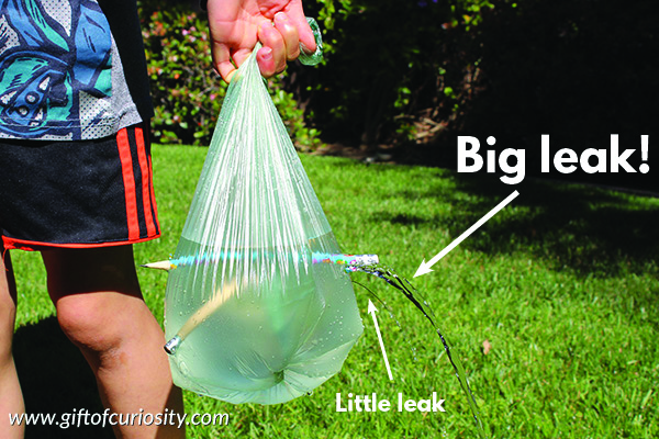 The leak proof bag offers a high-interest, kid-friendly science lesson about polymers. Try this quick and inexpensive activity today. Your kids are sure to be wowed! #STEM #STEAM #science #handsonlearning #giftofcuriosity || Gift of Curiosity
