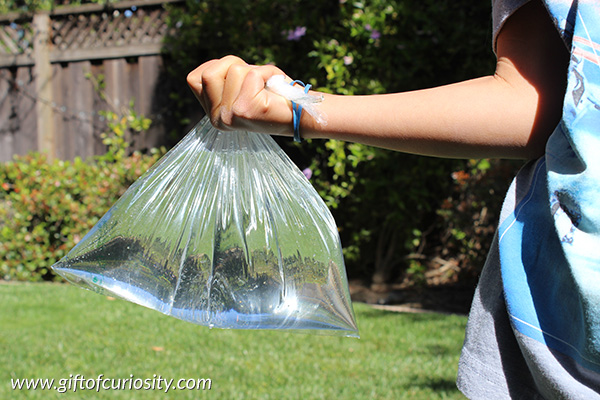 The leak proof bag offers a high-interest, kid-friendly science lesson about polymers. Try this quick and inexpensive activity today. Your kids are sure to be wowed! #STEM #STEAM #science #handsonlearning #giftofcuriosity || Gift of Curiosity