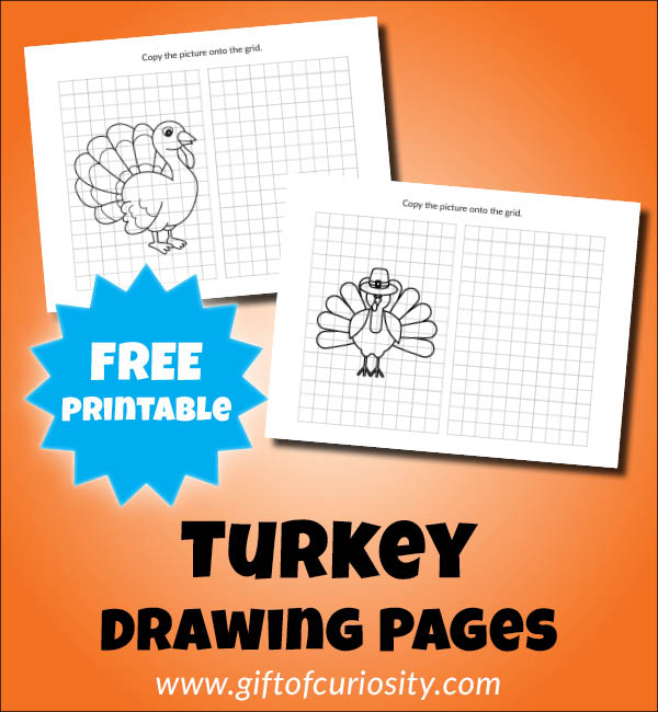 These Turkey Drawing Pages blend art (drawing) and math (finding coordinates on a grid) for a great Thanksgiving STEAM activity. Each page includes a Halloween image imposed on a grid on the left side, and a blank grid for your child to draw a copy of the image on the right side. | #Thanksgiving #STEAM #printables #giftofcuriosity || Gift of Curiosity