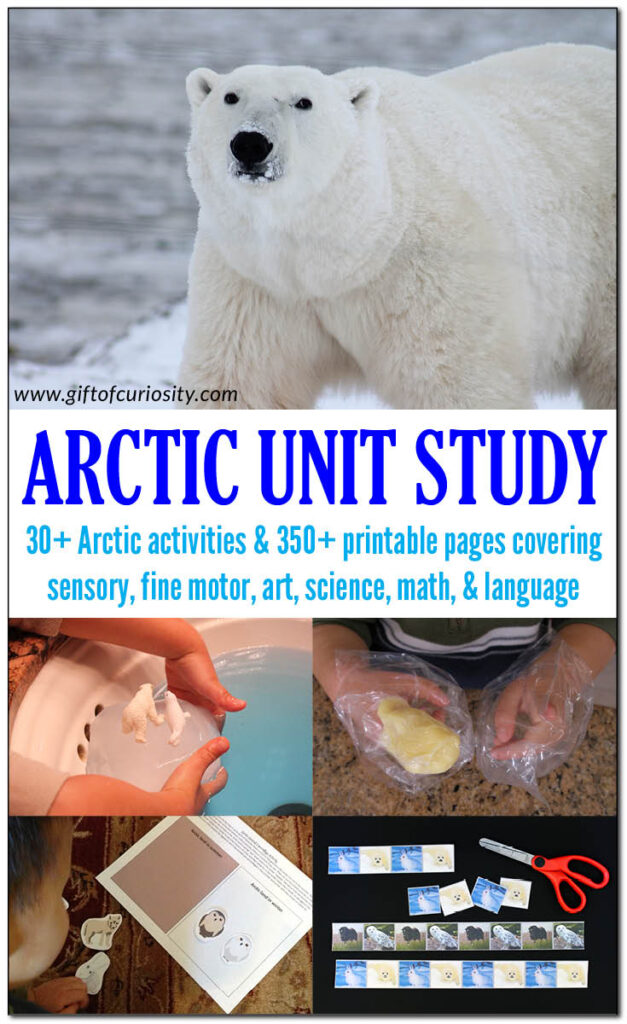 Arctic Unit Study with 30+ activity ideas, suggested books and videos, plus more than 350 pages of printable materials and activities for your Arctic Unit. Great for kids in preschool through grade 2. #Arctic #Polar #ArcticUnitStudy #GiftOfCuriosity || Gift of Curiosity