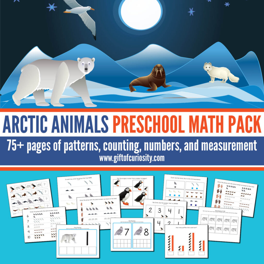 This Arctic Animals Preschool Math Pack features more than 75 pages of developmentally appropriate Arctic animal math activities for children ages 2-4 aligned to preschool learning standards. Grab a copy of these easy print-and-play activities that support the development of a range of early math skills including patterns, numbers, counting, and measurement. #Arctic #polar #math #STEM #printables #giftofcuriosity #preschool #prek #preschoolmath #ece #earlychildhood || Gift of Curiosity