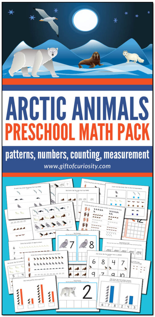 This Arctic Animals Preschool Math Pack features more than 75 pages of developmentally appropriate Arctic animal math activities for children ages 2-4 aligned to preschool learning standards. Grab a copy of these easy print-and-play activities that support the development of a range of early math skills including patterns, numbers, counting, and measurement. #Arctic #polar #math #STEM #printables #giftofcuriosity #preschool #prek #preschoolmath #ece #earlychildhood || Gift of Curiosity